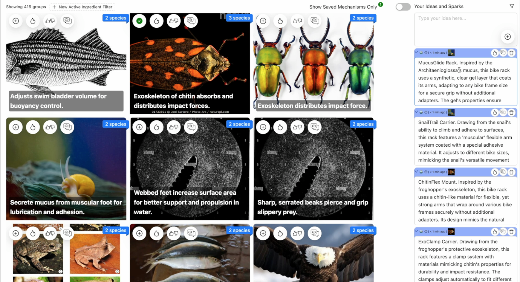 BioSpark system interface